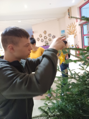 Christbaum in der Aula