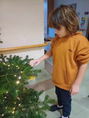 Christbaum in der Aula