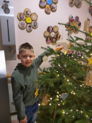 Christbaum in der Aula