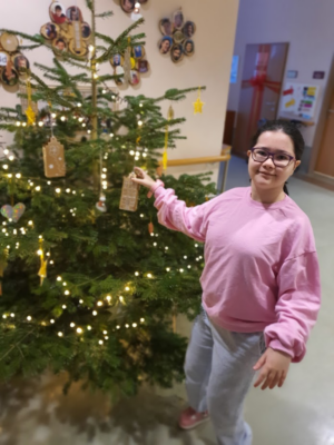 Christbaum in der Aula