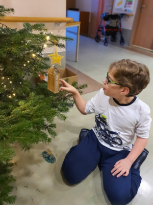 Christbaum in der Aula