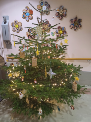 Christbaum in der Aula