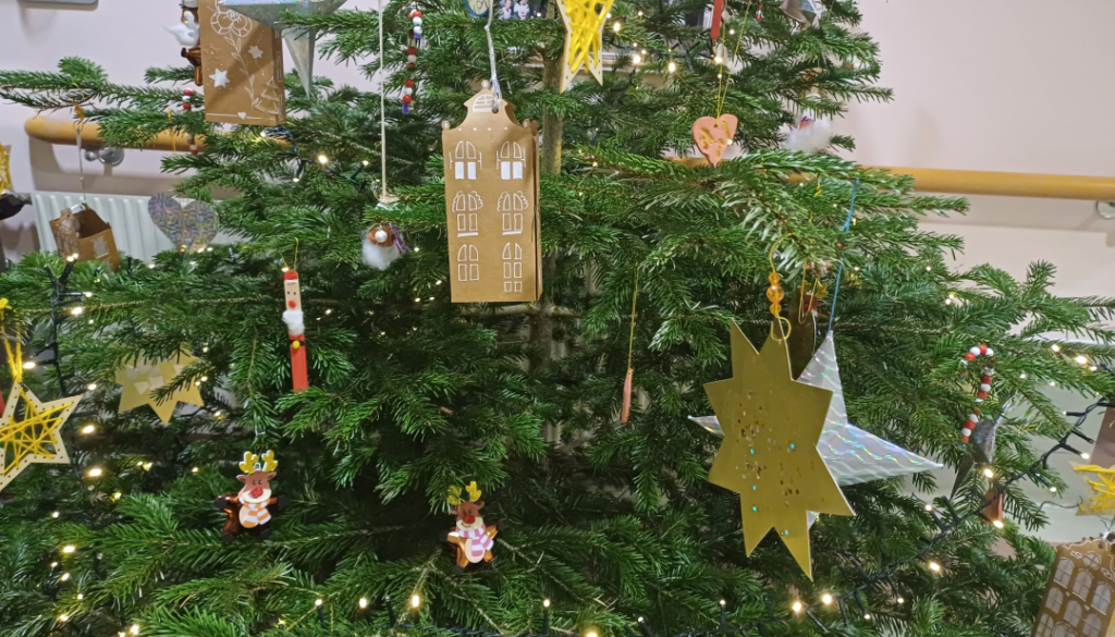 Christbaum in der Aula