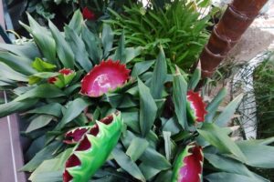 IMG_20230713_104838