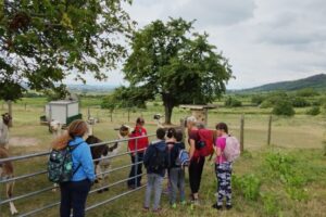 IMG_20230726_110335