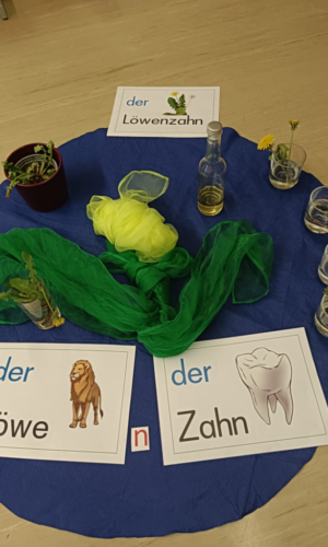 Der Zauber des Löwenzahns