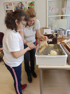 Bienenprojekt