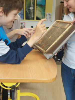 Bienenprojekt