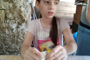 IMG_20240710_111046