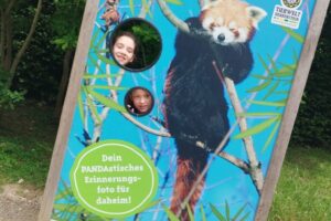 IMG_20240724_130902