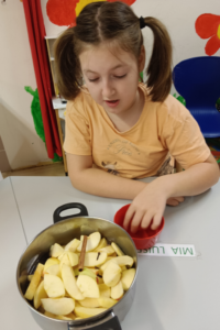 Projekt Apfel