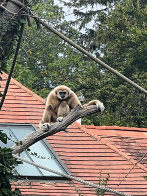 Tierpark Schönbrunn