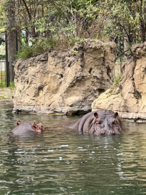 Tierpark Schönbrunn