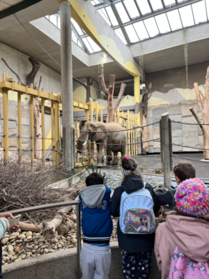 Tierpark Schönbrunn