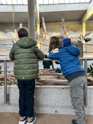 Tierpark Schönbrunn