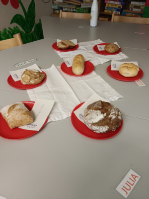 Vom Korn zum Brot