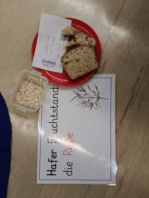 Vom Korn zum Brot