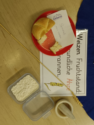Vom Korn zum Brot