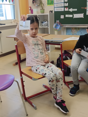 Projekt Gärtnerei
