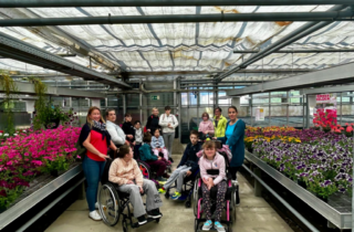 Projekt Gärtnerei Projekt Gärtnerei