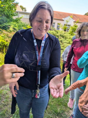 Bienenprojekt