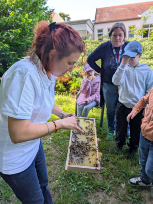 Bienenprojekt