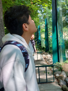 Tierpark Schönbrunn