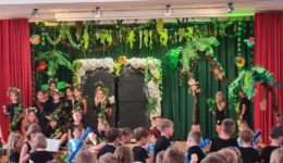 Musical Musical