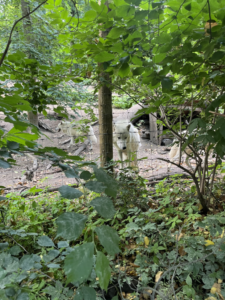Tiergarten Schönbrunn