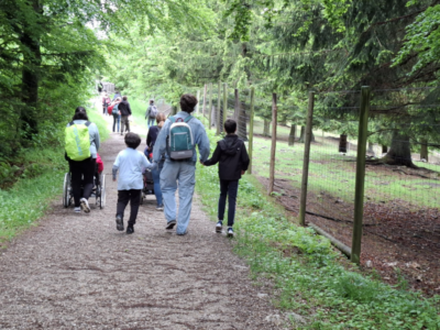 Naturpark Hohe Wand