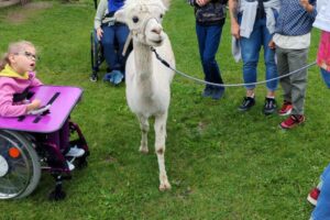 IMG_20250710_091811
