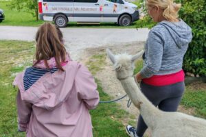 IMG_20250710_094136