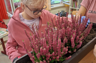 Blumenspende Blumenspende