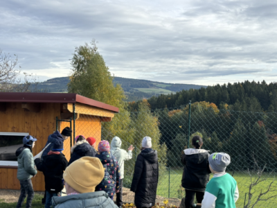 Bauernhof