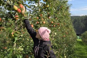 20250930_105938 20250930_105938