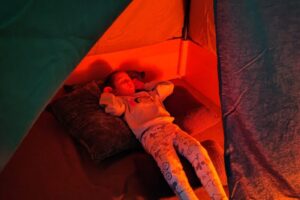 IMG_20251028_141945 IMG_20251028_141945