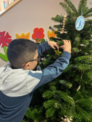 Christbaum in der Aula
