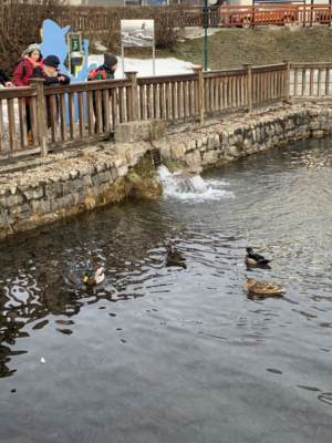 Ausflug nach Puchberg Ausflug nach Puchberg