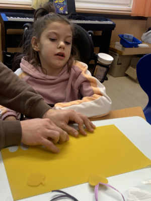 Bienenprojekt Bienenprojekt