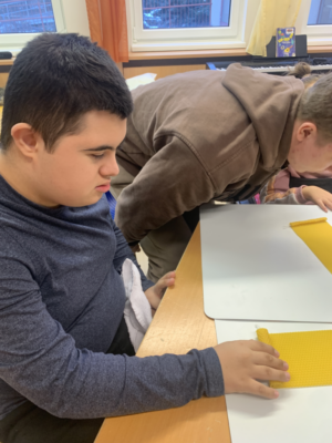 Bienenprojekt Bienenprojekt