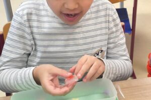 IMG-20260205-WA0036 IMG-20260205-WA0036