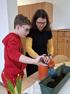 Frühblüher entdecken Frühblüher entdecken