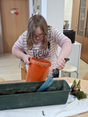 Frühblüher entdecken Frühblüher entdecken