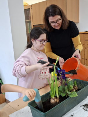 Frühblüher entdecken Frühblüher entdecken