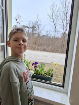 Frühblüher entdecken Frühblüher entdecken