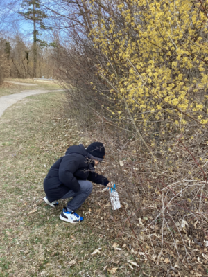 Osteraktion MS Föhrenwald Osteraktion MS Föhrenwald