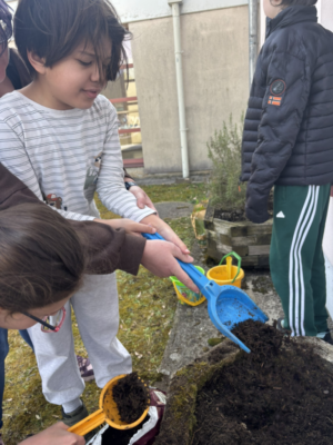 Frühling im Schulgarten