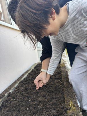 Frühling im Schulgarten