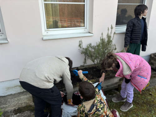 Frühling im Schulgarten