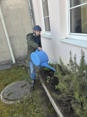 Frühling im Schulgarten Frühling im Schulgarten